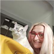 Insegnante con pluriennale esperienza offre lezioni di lingua inglese, tedesca, spagnola e francese